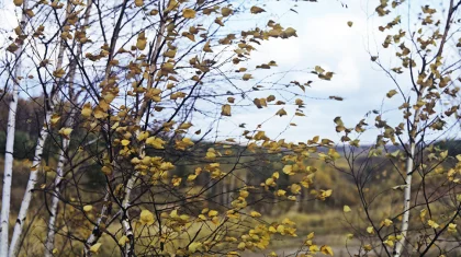 16 қазан күнгі ауа райы болжамы