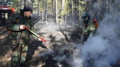 Бурабайда орман өртенді
