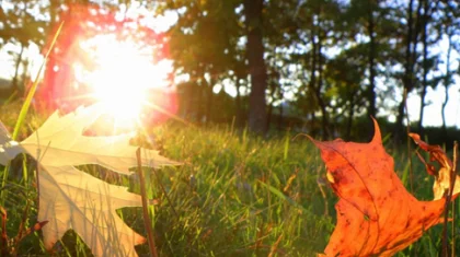 19 қазан күнгі ауа райы болжамы