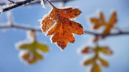 Алдағы күндері республиканың солтүстігінде қар жауады – Қазгидромет