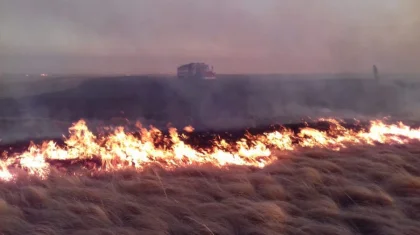 Жаңақорғанда жайылып жүрген 700 бас қой өртеніп кетті. Шығынды кім өтейді?