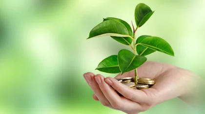 Енді экологиялық төлемдер тек табиғатты қорғау шараларына жіберілетін болады