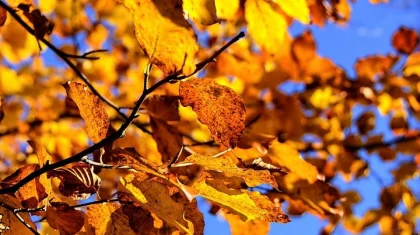 31 қазан күнгі ауа райы болжамы