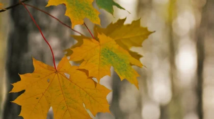 2 қараша күнгі ауа райы болжамы