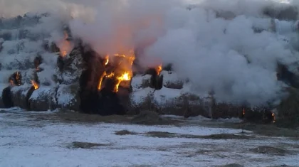 Ақмолалық полицейлер шөп өртіне байланысты қылмыстық іс қозғады