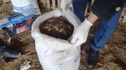 Жамбыл облысында жыл басынан бері 3 тоннадан астам есірткі тәркіленді