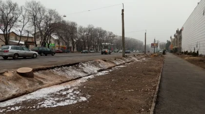 Заңсыз ағаш кескендер енді 3 миллион теңгеге дейін айыппұл төлейді – министр