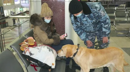 Көлік полицейлері күшейтілген қызмет тәртібіне көшеді