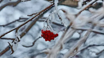 28 желтоқсан күнгі ауа райы болжамы