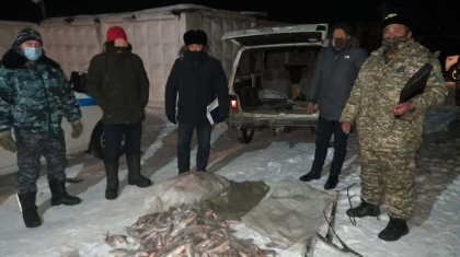 Қарағанды облысында заңсыз ауланған үш қап балық тәркіленді
