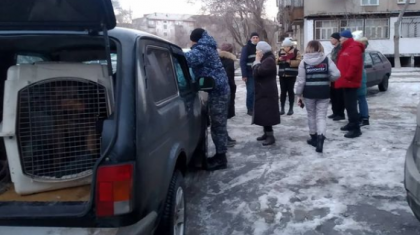 Жертөледе есін жинаған: Павлодарда жоғалып кеткен 12 жасар қыз табылды