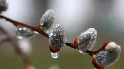 Қазақстанның басым бөлігінде дауылды ескерту жарияланды