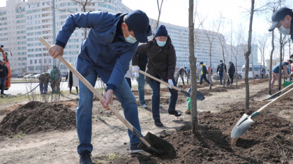 «Nur Otan» 2 млрд ағаш отырғызу міндетін қойып отыр – Байбек