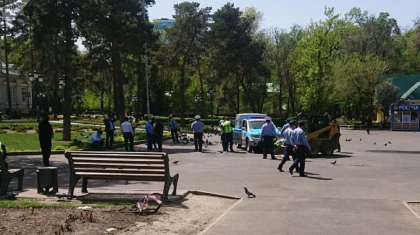 Алматыда саябақта көгершіндермен ойнап жүрген 3 жасар баланы көлік басып кетті