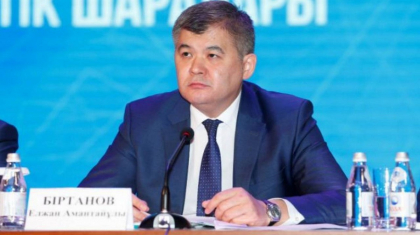 Прокуратура Елжан Біртановты үйқамақта ұстау мерзімін ұзартуды сұрады