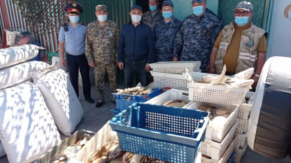 Қапшағай қаласында браконьерлерден 530 келі балық тәркіленді