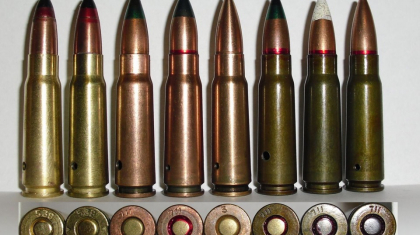 ШҚО-да 72 жастағы зейнеткерден әскери патрондар тәркіленді
