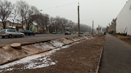 «Sulpak» маңындағы ағаш кесу ісі бойынша үкім шықты: кінәліге ірі көлемде айыппұл салынды