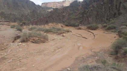 Шарын шатқалындағы қайғылы жағдайға қатысты министрлік мәлімдеме жасады