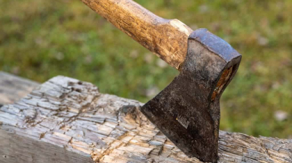 Қостанайда әкесі баласын балтамен ұрып өлтірді