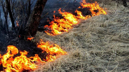 Қызылорда облысындағы шаруа қожалығында 3 мың орам шөп өртеніп кетті