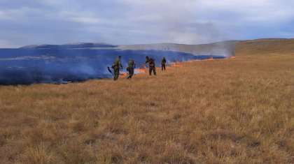 Ұлытау ауданындағы өрт: 142 га аумақтағы дала өрті сөндірілді