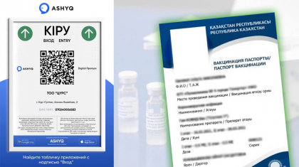 Вакцинация паспортын қолдан жасағандар 4 жылға дейін сотталуы мүмкін