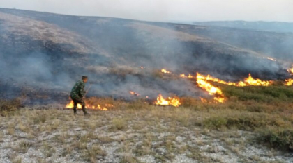 ШҚО аудандарының бірінде дала шөбі өртенді