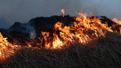 ШҚО-да 30 тонна шөп өртеніп кетті