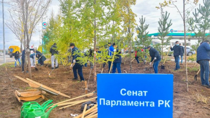 Сенат депутаттары дәстүрлі жалпы қалалық сенбілікке қатысты