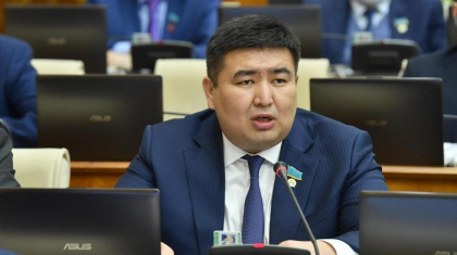 Үкімет жалған және дәл емес статистиканы қолданады – Мәжіліс депутаты