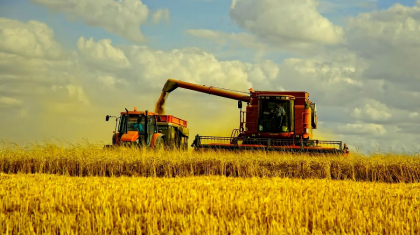 Қосалқы шаруашылықтар өндірген өнімдердің пайдасын делдалдар көріп отыр – Сенат депутаты