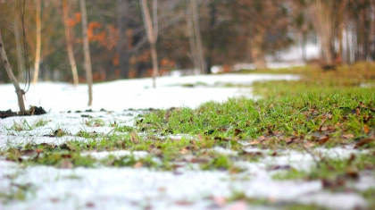 Синоптиктер көктемде ауа райы қандай болатынын айтты