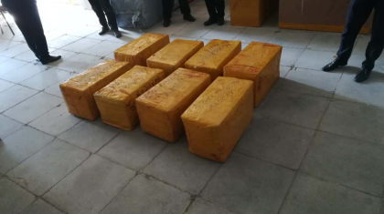 Маңғыстау облысында 185 келі марихуана тәркіленді