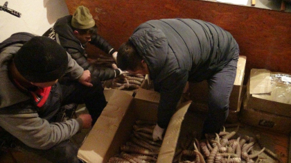 Қызылордада киік атқан браконьерлер қолға түсті
