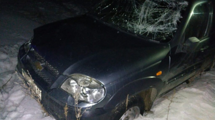 ШҚО-да ауыл тұрғыны екі көлікті ұрлап әкетіп, апатқа түскен