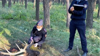Кінәсіз адамның тергеуге түсіп, сотталуына жол бермеу керек – криминалист
