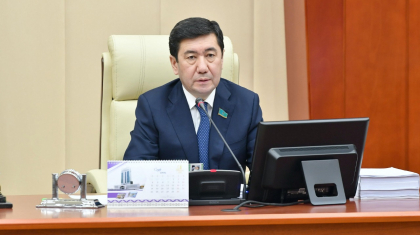 Мәжіліс төрағасы: Қордаланған мәселелердің шешілуі депутаттардың жіті бақылауында болады