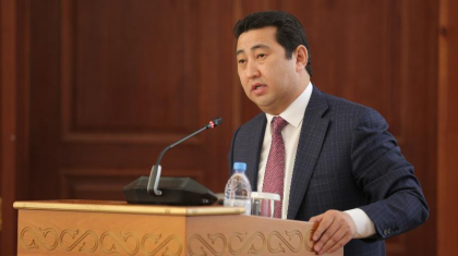 Туыстарым субсидияны заңды түрде алды – вице-министр