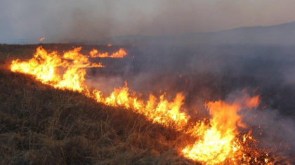 Шығыс Қазақстан облысында бір күнде 26 дала өрті тіркелді