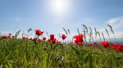 Синоптиктер 6 сәуірге арналған ауа райы болжамын жариялады