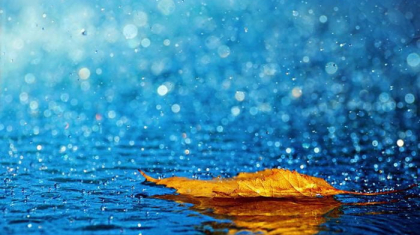 Қазгидромет: Еліміздің басым бөлігінде жауын-шашын болады