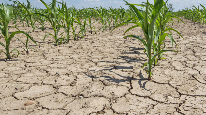 Қазгидромет құрғақшылық жайлайтын өңірлерді атады