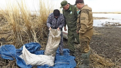 ШҚО-да браконьерлерден 2 тоннадан астам балық тәркіленді