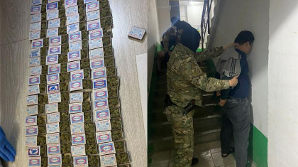 Қосшыда жалға алған үйінде есірткі өсіріп келген Ресей азаматы ұсталды