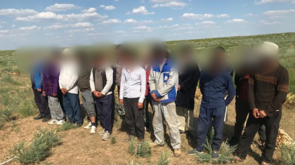 Түркістан облысында дәрілік шөп қазып жүрген 23 шетелдік азамат ұсталды