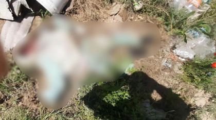 Алматы облысында 4 жасар қызды өлтірді деген күдіктілер қамауға алынды