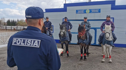Солтүстік Қазақстанда 13 жылқы полицияға қызмет етіп жүр