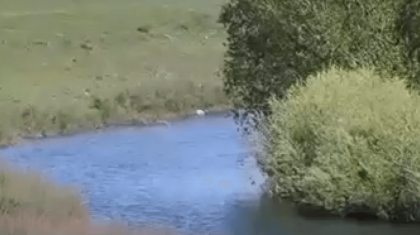 Ақтөбе облысында тағы үш бала суға батып кетті