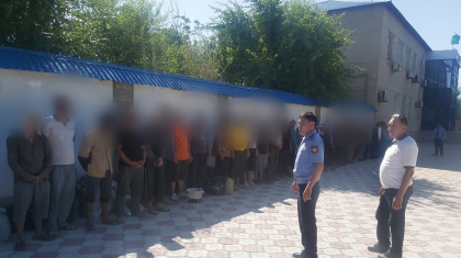 Түркістан облысында дәрілік өсімдікті заңсыз теріп жүрген 50 шетелдік ұсталды